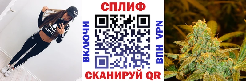 МАРИХУАНА план Кондрово